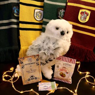 Harry Potter Hedwig Schnee Eulen Paket groß, Schal, Bertie Botts Bohnen, Happy Birthday Torte, Gutschein